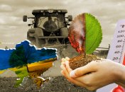 Теплі зими мають як плюси, так й мінуси для аграрного сектора. Фото Колаж "Телеграфа"