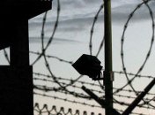 Ближайшего соратника Бен Ладена освободили под залог