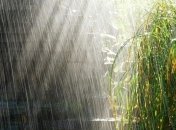 В Украине в ближайшие дни будет жарко, местами град и грозы