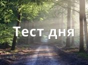 Узнайте свои сильные стороны: психологический тест