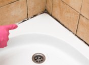 С плесенью можно справится без химии