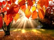 Погода в октябре