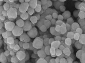 Ученые предложили переживать зиму с помощью согревающих наночастиц