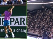 Игру все же прервали, но потом доиграли