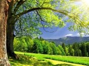 Погода в Украине 27 июня: в некоторых областях - дожди