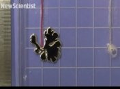 В мире создали прототип жидкого терминатора (Видео)