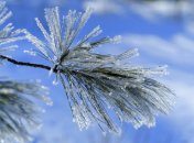 17 февраля. Приметы дня