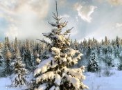 Погода в Украине 16 декабря: переменная облачность, без осадков 