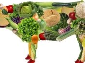 Ученые: Вегетарианство опасно для здоровья