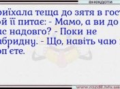 Если теща начала называть тебя "сынок", это значит, что на огороде полно работы: веселые семейные анекдоты