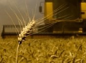 УАК: Темпы экспорта зерна из Украины уменьшаются