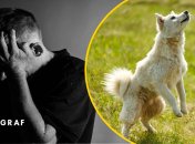 На Волині чоловік знущався з власного собаки