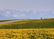 Осенний отдых в Альпах