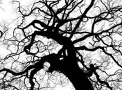 Ученые: Грядет экологическая катастрофа