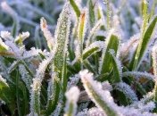 Синоптики предупредили о заморозках ночью