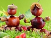 5 детских игр с каштанами