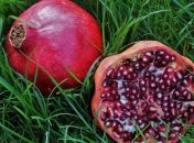 Чим корисний гранат для здоров'я та імунітету