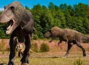 Дівчинка чи хлопчик: палеонтологи розповіли, як визначити стать у динозавра