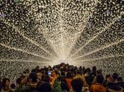 Ученые рассказали о принципе работы "коллективного разума"