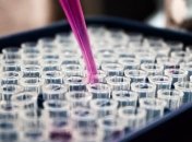 Врачи в Киеве зафиксировали снижение заболеваемости гриппом и ОРВИ на 5%