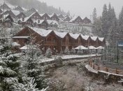 На Прикарпатье непогода оставила без света 80 населенных пунктов