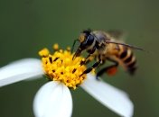 Проще средств не придумать