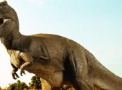 Палеонтологам удалось найти новый вид динозавров