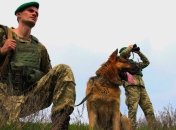 В Черновицкой области контрабандисты избили пограничников