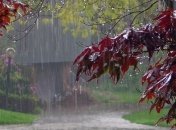 Дощі і грози накриють Україну: прогноз погоди на 5 серпня