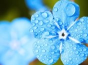 Погода на 29 апреля: на Пасху дожди по всей территории Украины