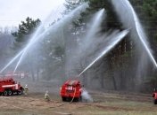 ГСЧС: Причиной пожара в Чернобыльской зоне может быть поджог