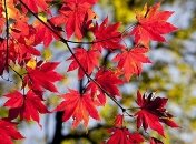 Температурные качели продолжаются: прогноз погоды на завтра