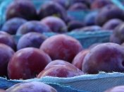 Сок из слив очень полезен для здоровья