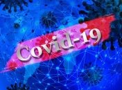 "Обнадеживает": ученые проверили возможность заразиться Covid-19 половым путем