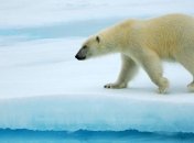 Под Антарктидой нашли деформацию земной коры