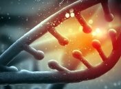 Ученые нашли генетические сигнатуры биологического старения
