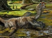 В Китае случайно обнаружили окаменелости динозавра