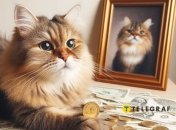 Раки, Скорпіони та Риби будуть на сьомому небі від щастя