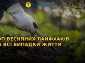 Весенняя уборка и уход за садом – одни из пунктов, которые следует выполнить весной (изображение создано с помощью ИИ)