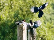 22 марта. Приметы дня