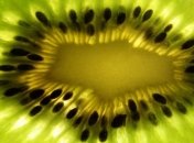 Киви заряжает энергией