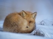 Нинішній "дубак" не межа? Яка погода чекає на киян на новому тижні