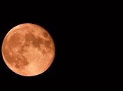 Розовое полнолуние 28 марта: как правильно загадать желание, чтобы оно сбылось 