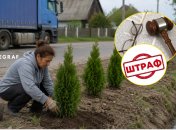 Обжаловать решение суда не удалось