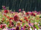 Какой будет погода в начале недели в Украине: прогнозы синоптиков