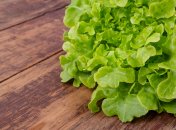 Эти советы вам понадобятся