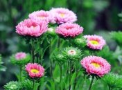 Прогноз погоды на 22 сентября: в Украине по-прежнему тепло