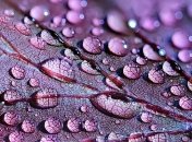 Осень берет свое: прогноз погоды на конец недели