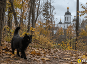 Церковна подія у жовтні