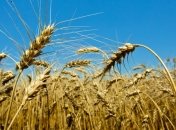 Украина и Россия координируют действия на мировом рынке зерна